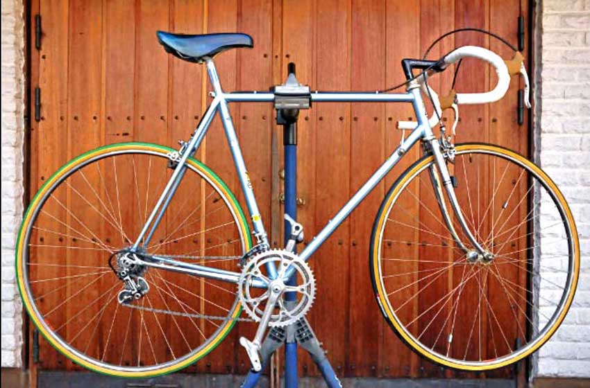 Eddy Merckx Professional