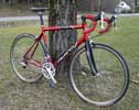 Avanti Corsa 2005