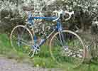 Scapin