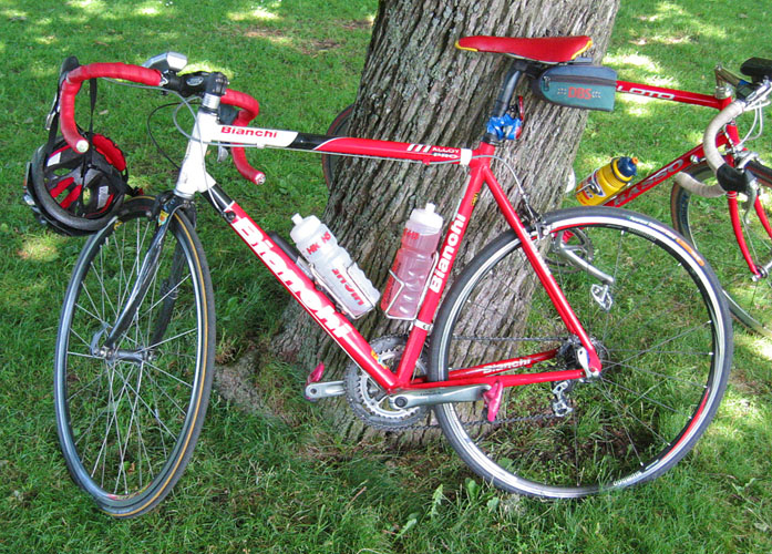 Bianch-3