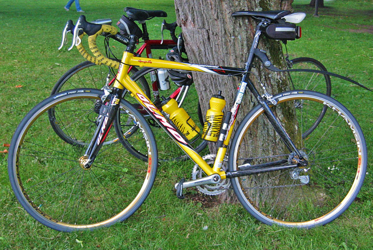 Olmo