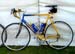 Eddy Merckx